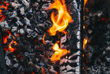 Fototapeta  - Burning charcoal in the fire for barbecue