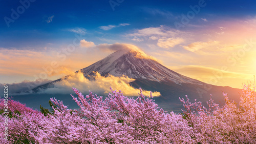 Fuji mountain and cherry blossoms in spring, Japan. Poster Mural XXL