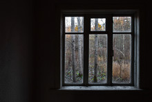 View From The Window In An Abandoned House Through The Wet Glass At The Trees.