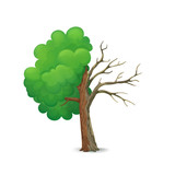 Fototapeta Sypialnia - Cartoon tree split in half isolated on a white background. Healthy part with lush green leaves and dry, dying leafless part with cracked bark.