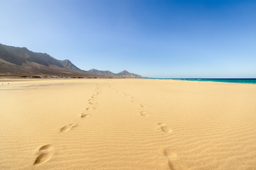 Wall Mural - Fuerteventura, Canary Islands, Spain. Cofete beach with endless horizon and traces on sand. Volcanic hills in the background and Atlantic Ocean.