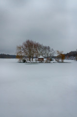 Wall Mural - The winter landscape with forest, lake in the bad weather condition