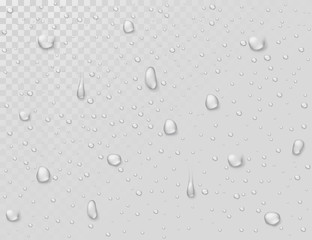 Wall Mural - Water rain drops. Droplets on transparent wet glass window. Photorealistic water shower drops vector background. Illustration of clear droplet on glass transparent