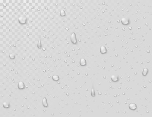 Sticker - Water rain drops. Droplets on transparent wet glass window. Photorealistic water shower drops vector background. Illustration of clear droplet on glass transparent