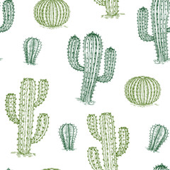 Wall Mural - Seamless pattern with cactus. Hand drawn desert plants cactuses repeat vector texture. Illustration of cactus desert, plant summer background illustration