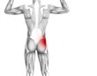 © high_resolution - Conceptual hip human anatomy with red hot spot inflammation articular joint pain for leg health care therapy or sport muscle concepts. 3D illustration man arthritis or bone sore osteoporosis disease