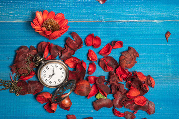 Golden vintage pocket watch put on a blue wooden table with red dried flowers with aroma