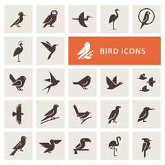 Vector birds icon set in gray color. Isolated items birds. Perfect for illustration, decoration and print.