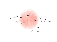 Red Sun And Flying Birds Isolated