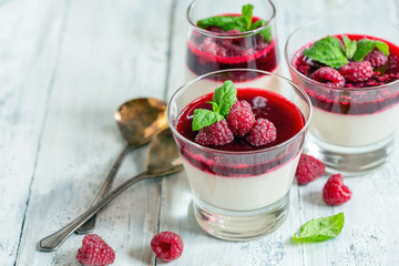 Wall Mural - Panna cotta is a traditional Italian dessert.