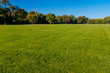 View of empty Great Lawn of Central Park under clear blue sky, in New York City, USA