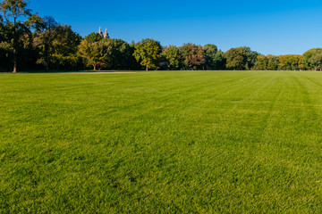 View of empty Great Lawn of Central Park under clear blue sky, in New York City, USA