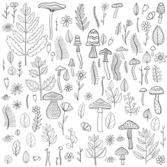 vector floral doodle set