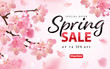 Enjoy spring sale with blooming beautiful cherry blossoms or sakura flowers background template. Vector set of exotic tropical garden for web design, voucher, brochures and banners design.