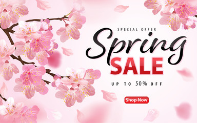 Wall Mural - Enjoy spring sale with blooming beautiful cherry blossoms or sakura flowers background template. Vector set of exotic tropical garden for web design, voucher, brochures and banners design.