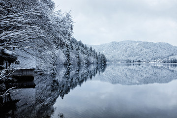 Panoramic view of Longemer Lake in the Vosges mountains, Xonrupt-Longemer, Lorraine, France. Picturesque winter landscape with white snowy trees and a house reflected in water.