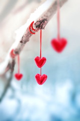 Red hearts on snowy tree branch in winter. Holidays happy valentines day celebration heart love concept.