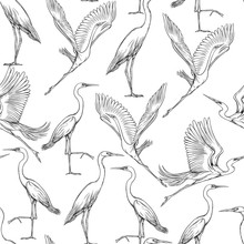 Seamless Pattern, Background With Tropical Birds
