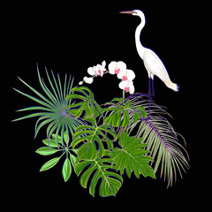  A composition of tropical plants, palm leaves