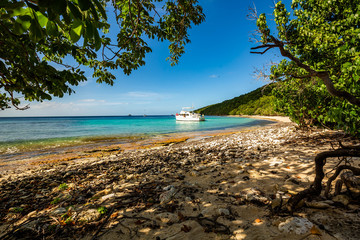 Wall Mural - Private boat at seashore carribean vacation getaway