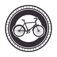 Wall Mural - seal with racing bicycle