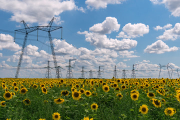 High-voltage power lines. Electricity distribution station. high voltage electric transmission tower. Distribution electric substation with power lines and transformers