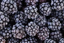 Frozen Berries Of Blackberries. Close-up.