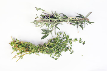 Rosemary Thyme green herb bundle on white background