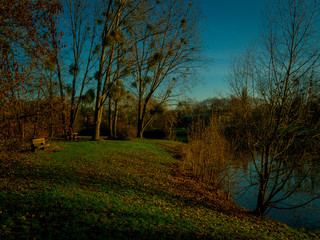 Poster - Bords d'un lac en automne