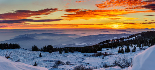 Wall Mural - Beautiful winter fairytale - frozen landscape at sunrise on a mountain top in Sofia, Bulgaria - amazing scenery, impressive views - feeling of freedom and relaxation