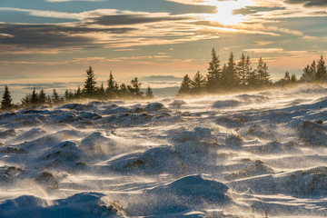 Wall Mural - Beautiful winter fairytale - frozen landscape at sunrise on a mountain top in Sofia, Bulgaria - amazing scenery, impressive views - feeling of freedom and relaxation