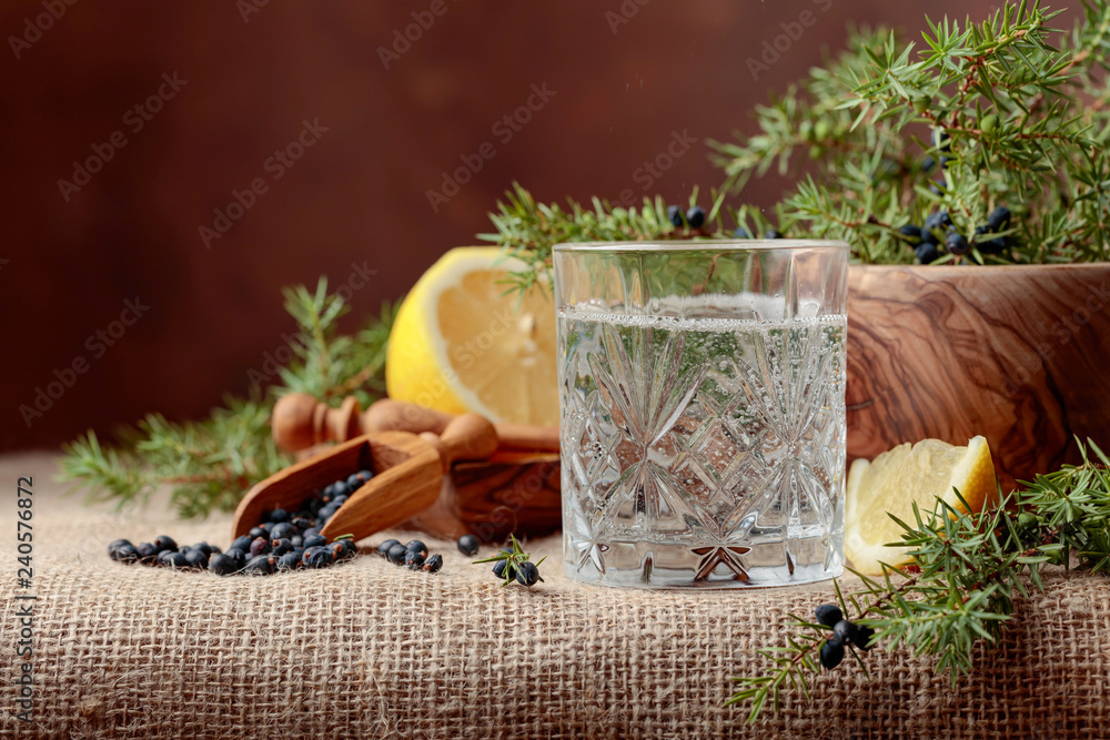 Cocktail gin, tonic with lemon and a branch of juniper with berries. - obrazy, fototapety, plakaty 