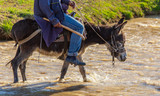 Fototapeta  - The man on the donkey crossing the river