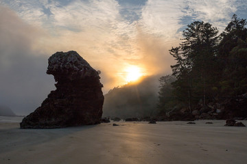 Cape Hillsborough Felsen