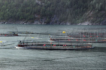 Fish farms in Hardanger fjord,  Hordaland county, Norway