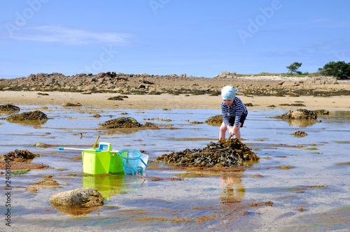 Cuadros en Lienzo Un petit garçon qui pêche des crabes à marée basse en Bretagne