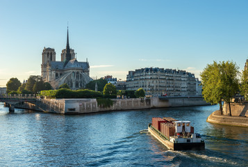 Wall Mural - Gothic style of Notre Dame