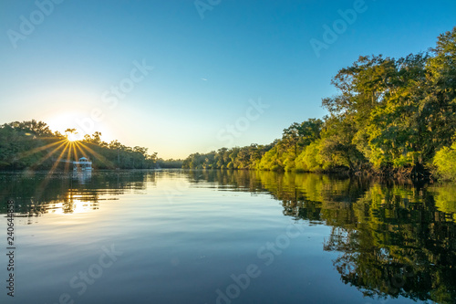 Fotomural Suwannee River, Gilchrist County, Florida