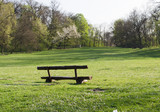 Fototapeta Konie - An old wooden bench in a beautiful park.