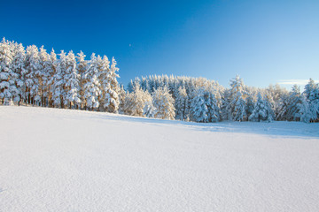 Aufkleber - Winter park. Panorama