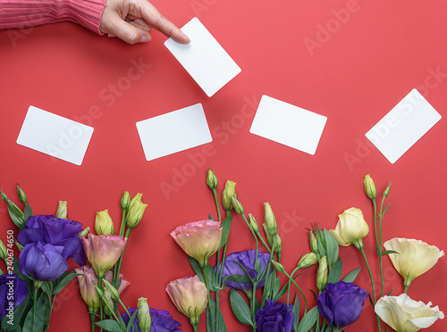 Fotografie, Obraz female hand in pink sweater holding a blank white paper business card