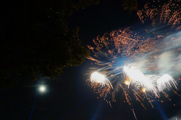 Holiday fireworks, light, tree and moon