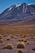 Arid desert landscape in the Andes