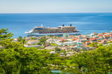 Fototapete - Roseau, Dominica with cruise ship in the harbor.