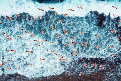 los-roques-caribbean-beach-flamingi-latajace-na-plazy-fantastyczny-widok-zwierzat-swietny-krajobraz