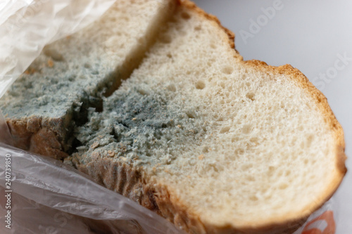 White Bread Mold Macro Background Buy This Stock Photo And