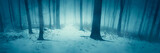 Fototapeta Las - mysterious winter forest panorama with snowy path