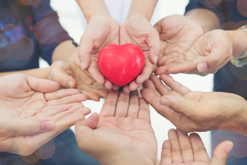 together collaborate of hands teamwork isoleted on white background