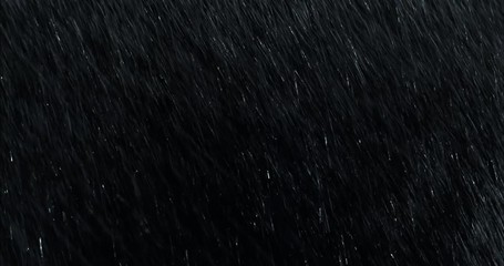 diagonal heavy rain falling in front of the camera against black screen. raindrops splashing. rain c