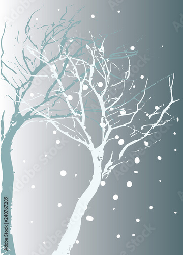 Fotografía Winterlicher Hintergrund im frostigen Blau Baum mit Schatten